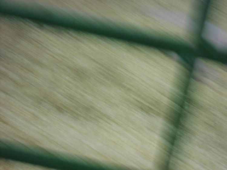 Image has been resized