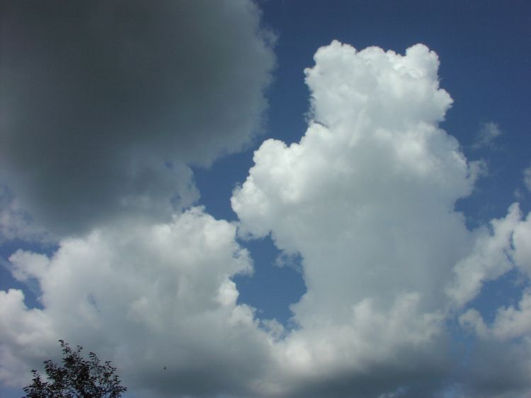 Image has been resized