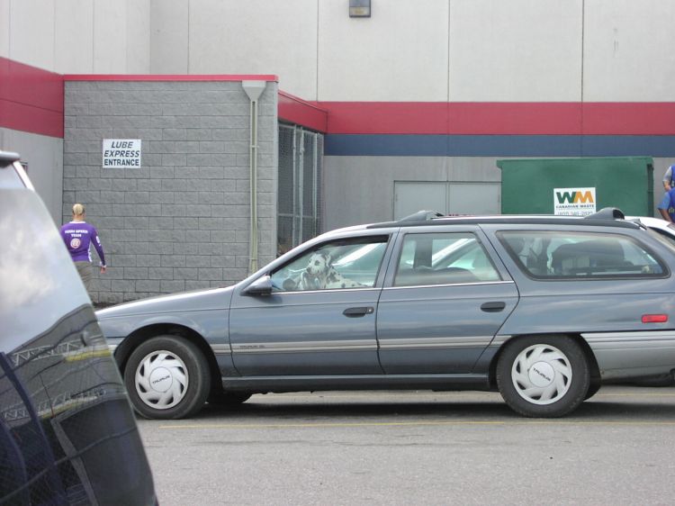 Image has been resized