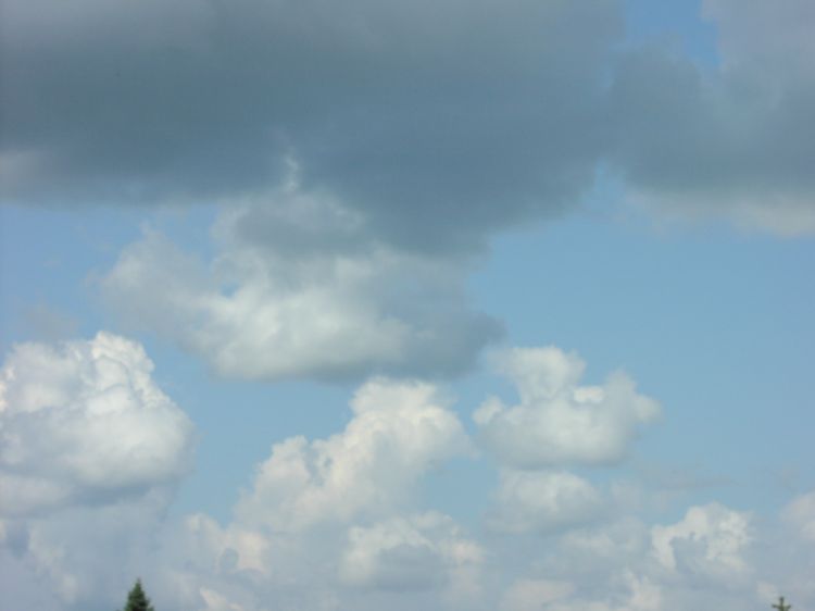 Image has been resized