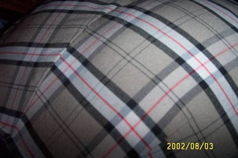 Original image
